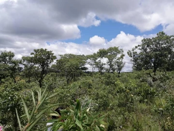 Agro Residential Plot for sale in Goromonzi $85k , 1.6ha , Subdivision permit , 