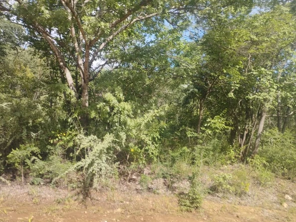 Expansive 223.17 Ha Selous Farm for sale with Reliable Borehole