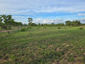 Kadoma Plots For Sale 