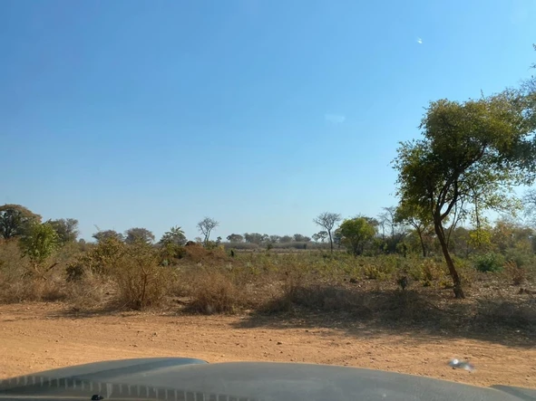 2ha plot in kadoma sabona bona with tittle deed 40k slightly neg