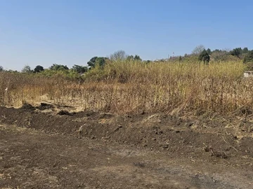 4000m² Residential Land for Sale in Borrowdale, Harare North