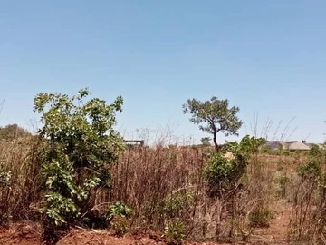 450m² Residential Land for Sale in Tynwald, Harare West