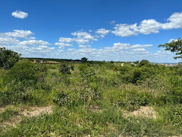 Chinhoyi Commercial Stand