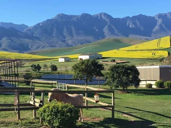 Farm for sale near Greyton, on the Overberg, Western Cape. Two hours out of Cape Town. South Africa