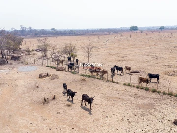 Farm For Sale In Marirangwe.