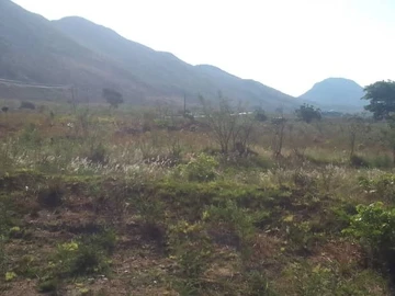 For Sale: Prime 5500m² Residential Land in Mutare Tarred Roads & Good ZESA