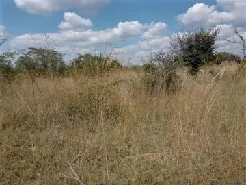 Mutoko 6ha plots with immediate occupation