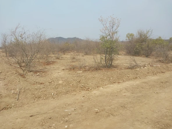 Residential Land in Gwanda with Municipal Facilities & Tarred Roads