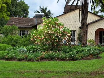 Lovely town house in a great location