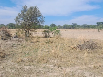 Plot available in Chivhu