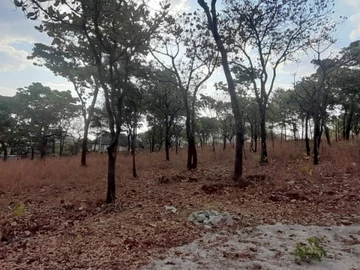 Prime 2000 m² Land for Sale in Prestigious Shawasha Hills, Harare