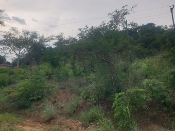 Choice of 3 Agro-residential plots Bindura Claverhill 1.52Ha-4.6Ha  Zesa and Gravel Roads 