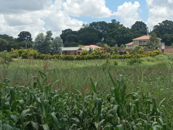 Prime 124,000 m² Land in The Grange, Harare North