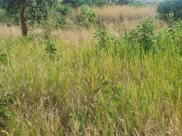 Prime 2400m² Land for Sale in Charlotte Brooke, Harare North