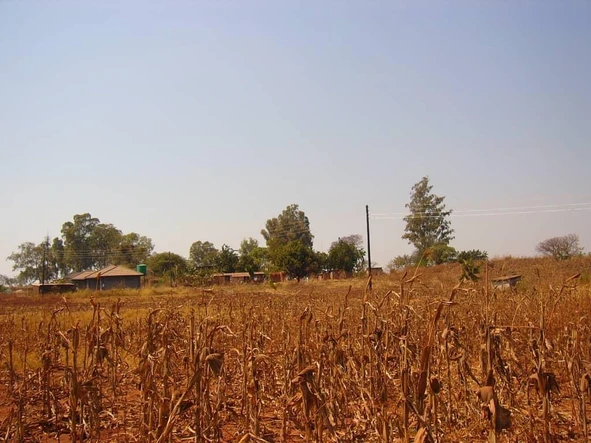 Vacant Stand Suitable For A Supermarket Or Retail Store