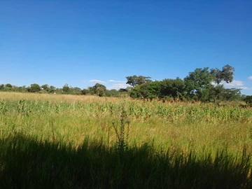 Ruwa plot for Sale 