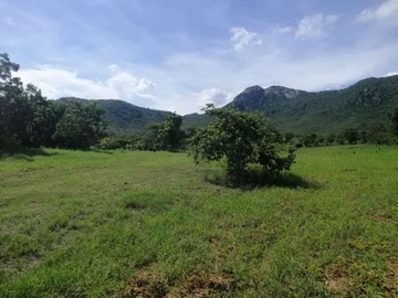 Stands & Land for Sale in Mutare CBD - 362 m² property with Split Level