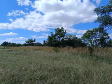 Musengezi Zowa Farm for sale 