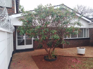 Garden Flat For Sale