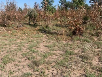 Ruwa plot for sale 