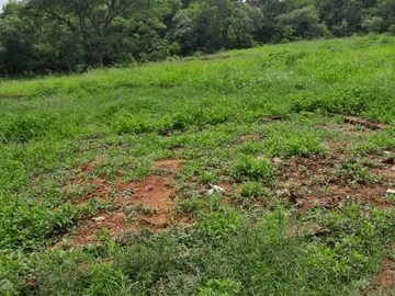 1-Acre Residential Land with Staff Quarters in Fortunes Gate, Bulawayo East