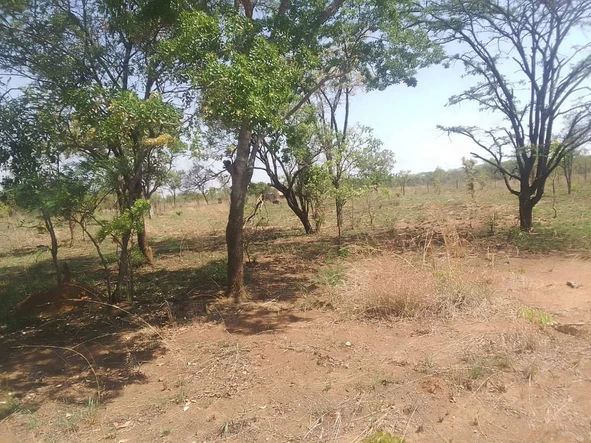 Farms & Agricultural Land, Land for Sale in Chegutu | 35 listings ...