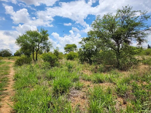 Nyamandlovu Farm for Sale