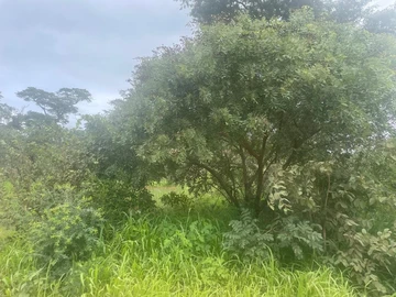 2000 m² Residential Land for Sale in Crowhill Views, Harare North