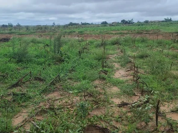 300 m² High Density Land in Donnybrook, Harare with Well-Made Roads