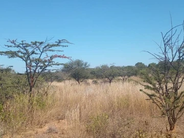 34 Hectare Farm & Agricultural Land for Sale in Umzingwane, Matabeleland South