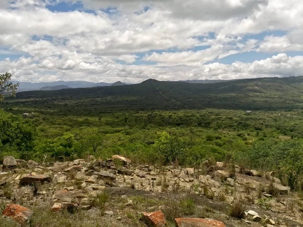 Nyanga Agro-Residential Plots For Sale