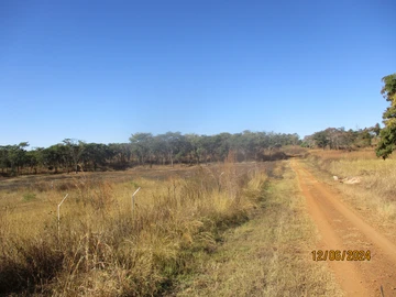 Glen Forest Agro Plot