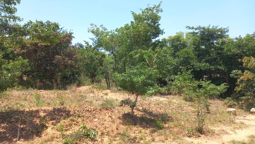 Farm & Agricultural Land for Sale in Ruwa | NTH178512