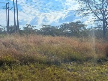 1200m² Residential land for sale in Mwashuma park, Norton.