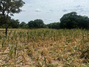 5 Hectare Farm in Kadoma