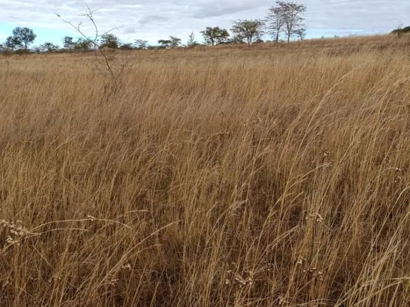 Kadoma Battlefields Plots for Sale 