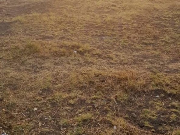 Prime 1200 m² Residential Land for Sale in Mashonaland West, Mwashuma, Norton