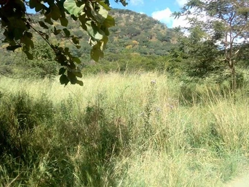 Makonde Farm For Sale