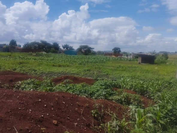 1000 m² Land Plot for Sale in Bluff Hill, Harare West