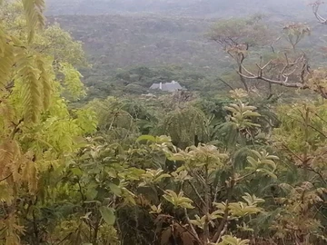 2 Hectare Residential Land for Sale in Glen Forest, Harare North