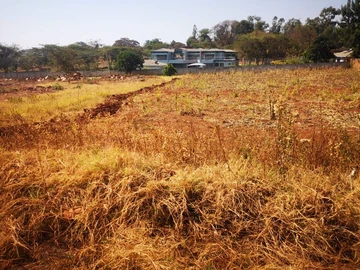 Gletwin stand on flat land on Cession