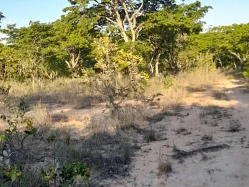 126 Hectares of Prime Land for Sale in Masvingo Province!