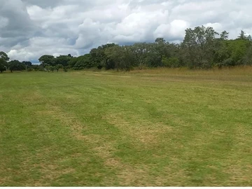 Ruwa golf course stand for sale