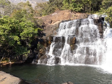 Bvumba Game Reserve 