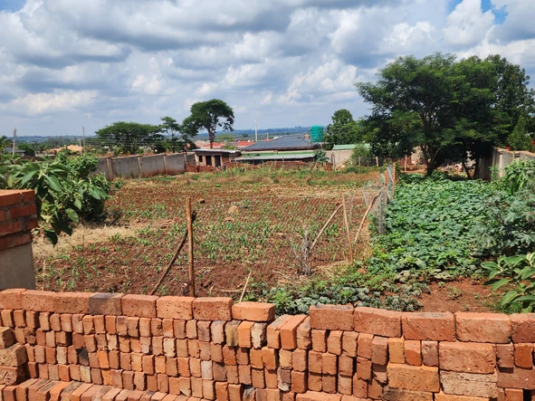 Flat land red soils