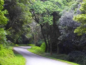 Farm for sale in Vumba Bordering Mozambique