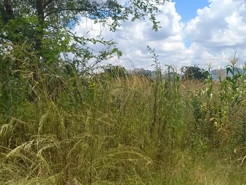 1000m² Residential Land for Sale in Charlotte Brooke, Harare North