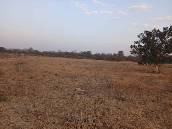 Prime 296 Hectare Commercial Property for Sale in Makonde, Mashonaland West