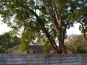 A House In a Prime Location In Chinhoyi