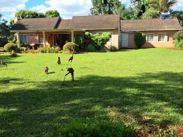 QUINNINGTON ,HELENSVALE $330k